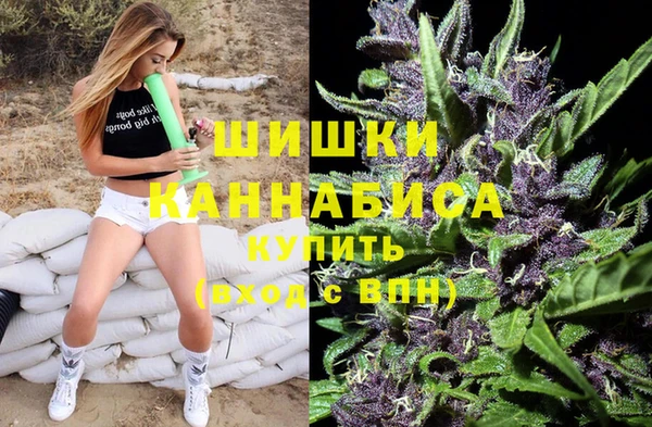 дживик Баксан