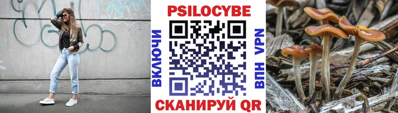 наркота  Бобров  Галлюциногенные грибы Psilocybine cubensis 